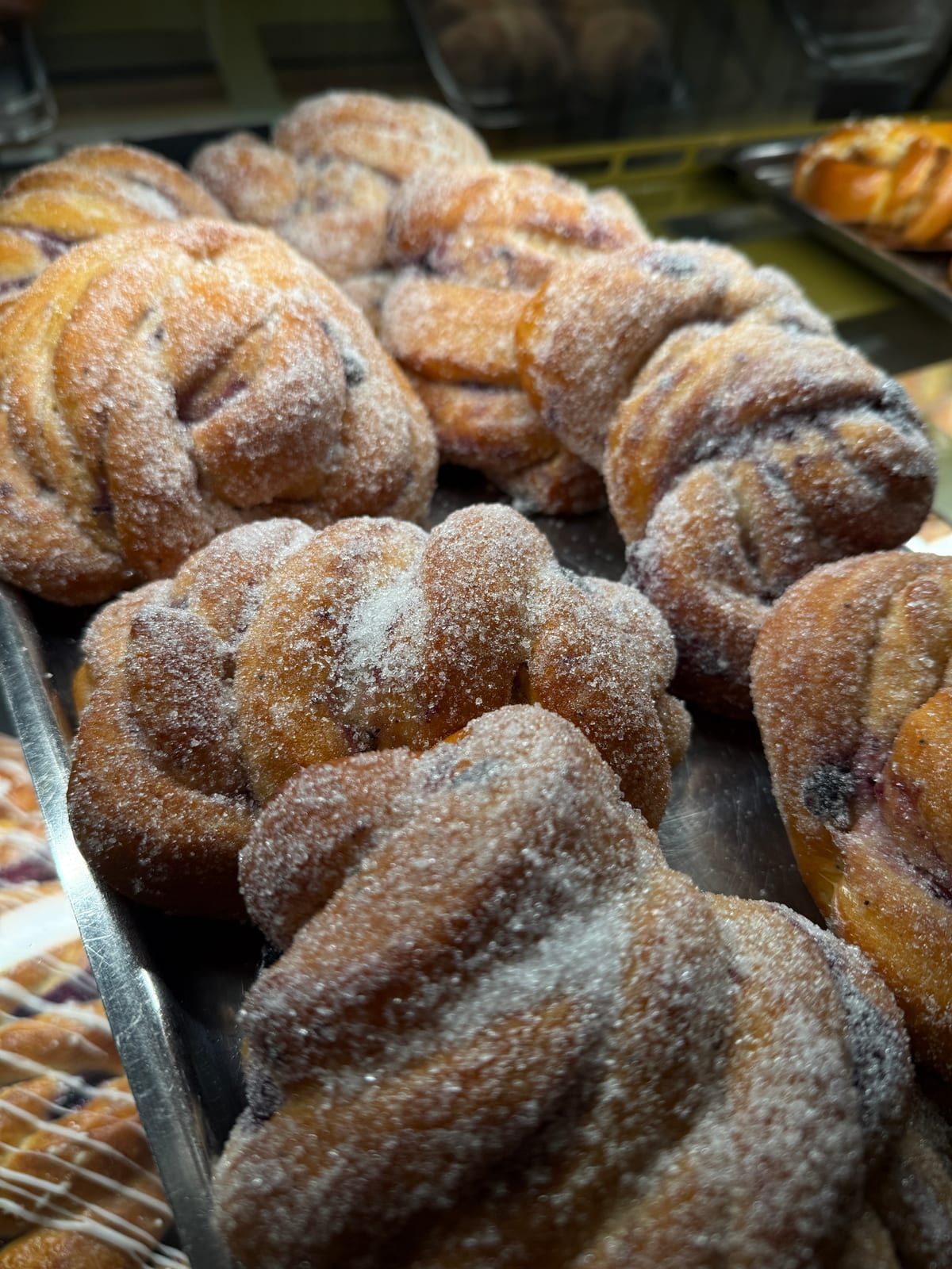 Nygräddade bullar med bärfyllning, doppade i socker, på plåt i bageriet